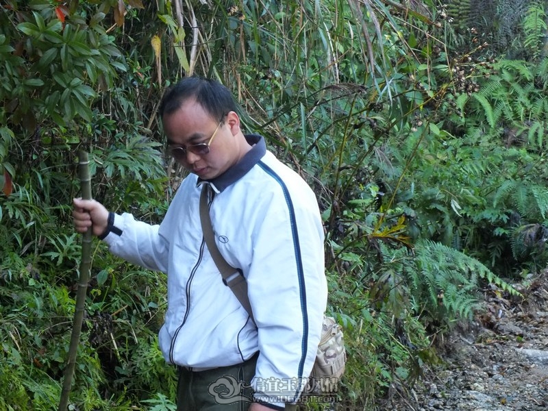 DSCF2731.jpg