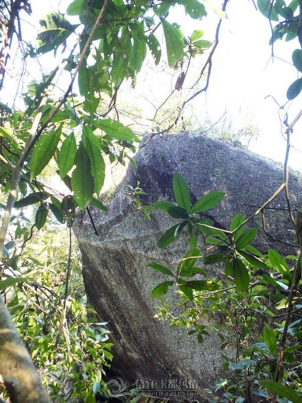 DSCF2737.jpg