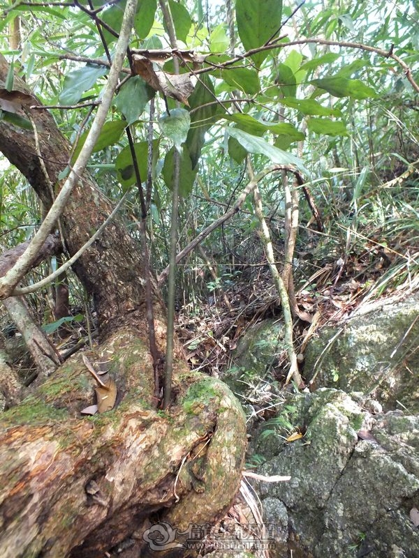 DSCF2787.jpg