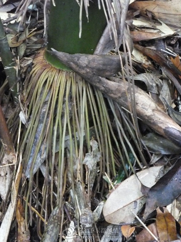 DSCF2804.jpg