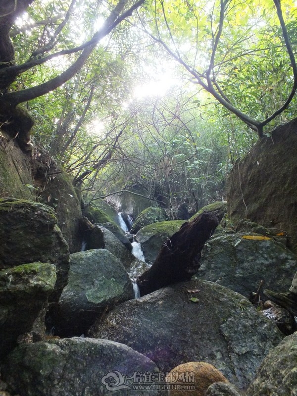 DSCF2809.jpg