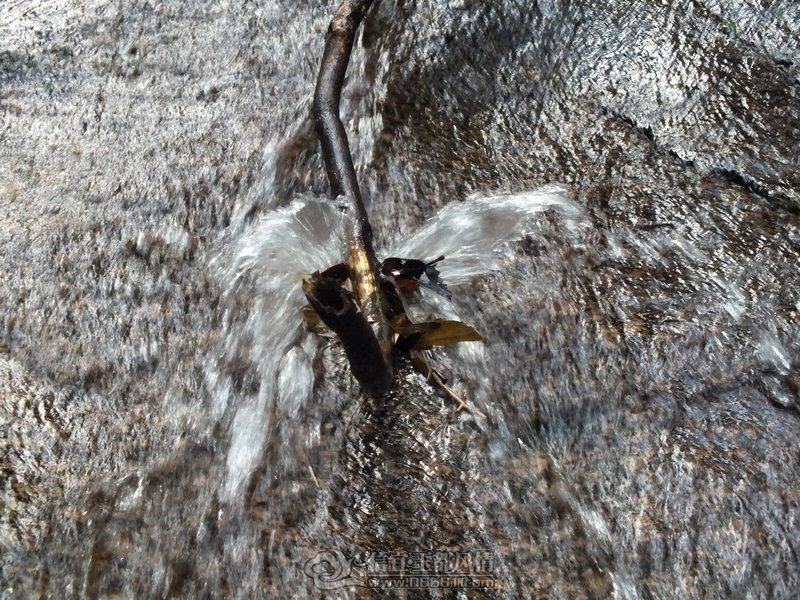 DSCF2826.jpg