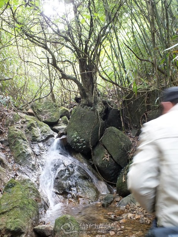 DSCF2835.jpg