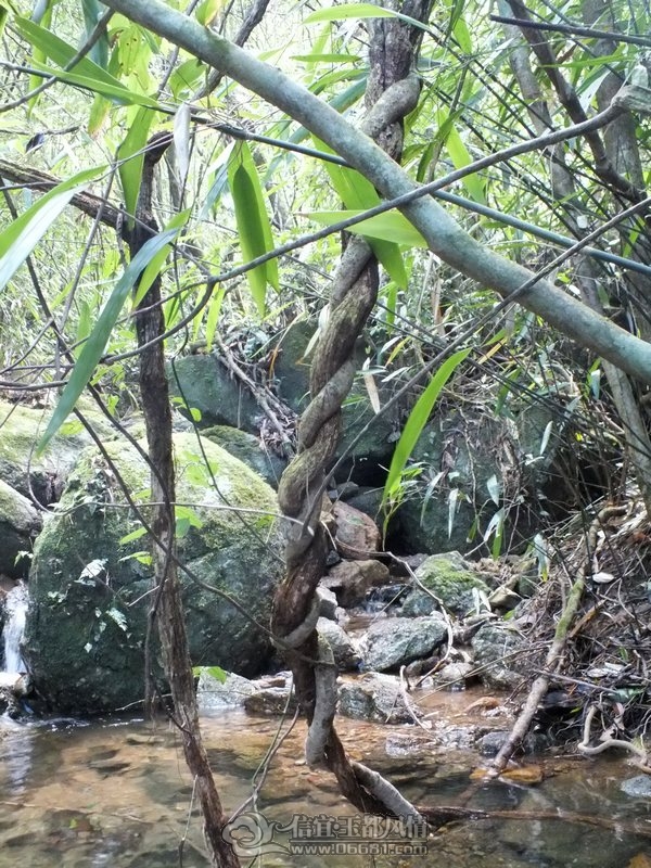 DSCF2841.jpg