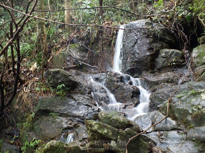 DSCF2858.jpg