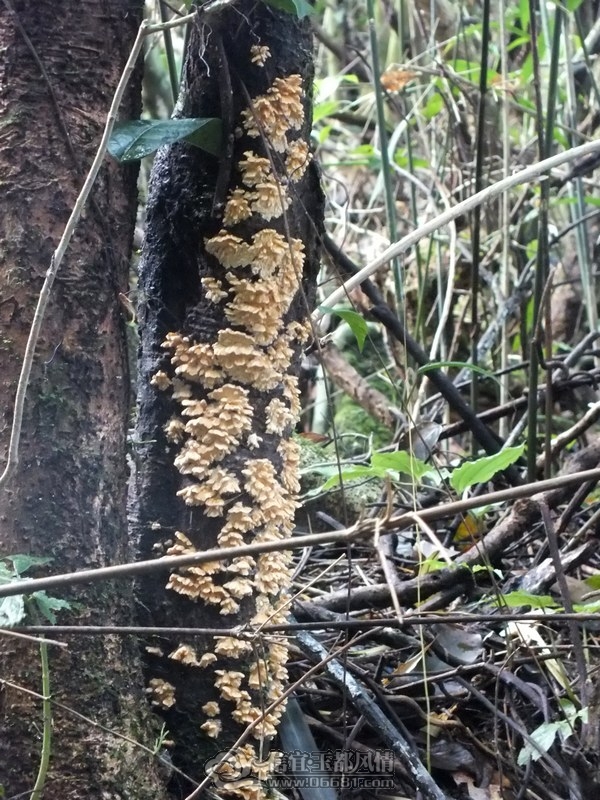 DSCF2847.jpg