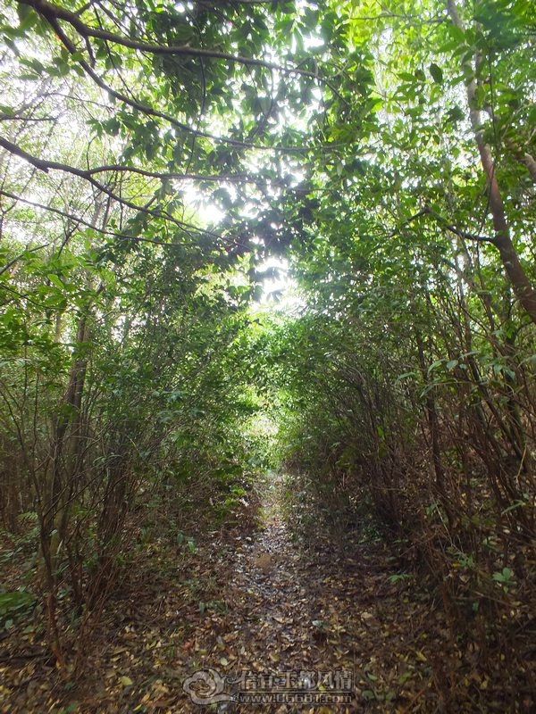 DSCF2874.jpg