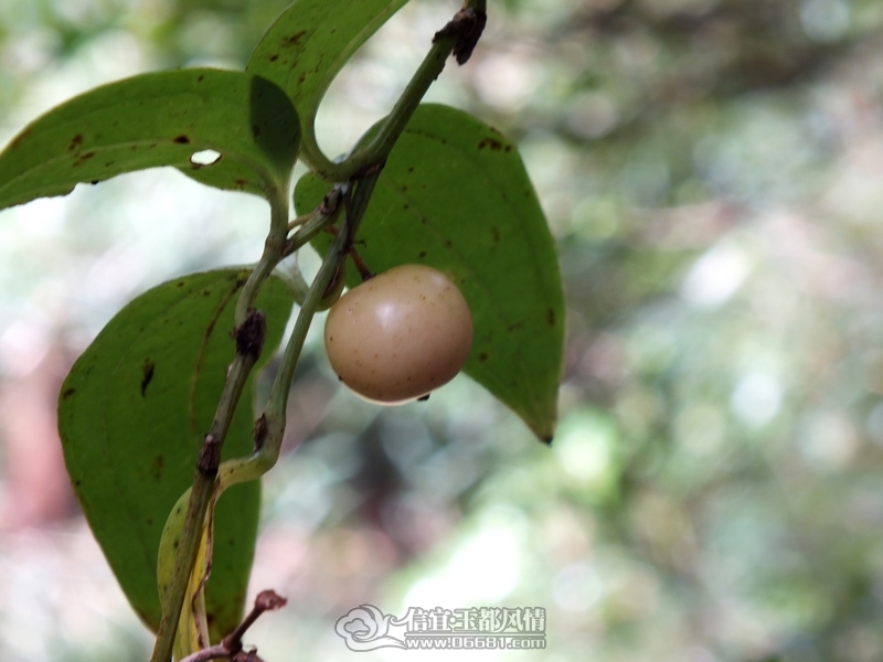 DSCF2884.jpg