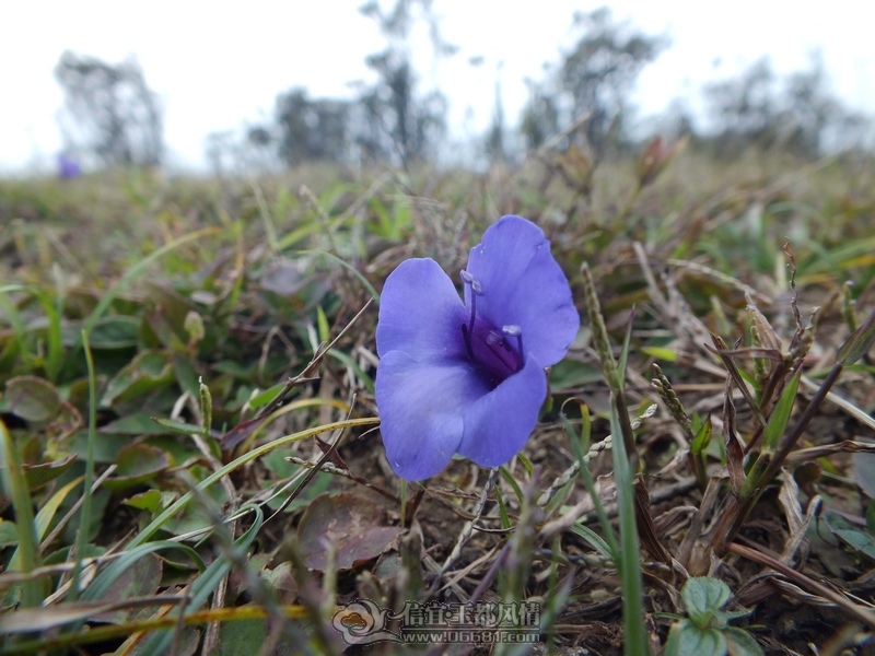 DSCF2912.jpg
