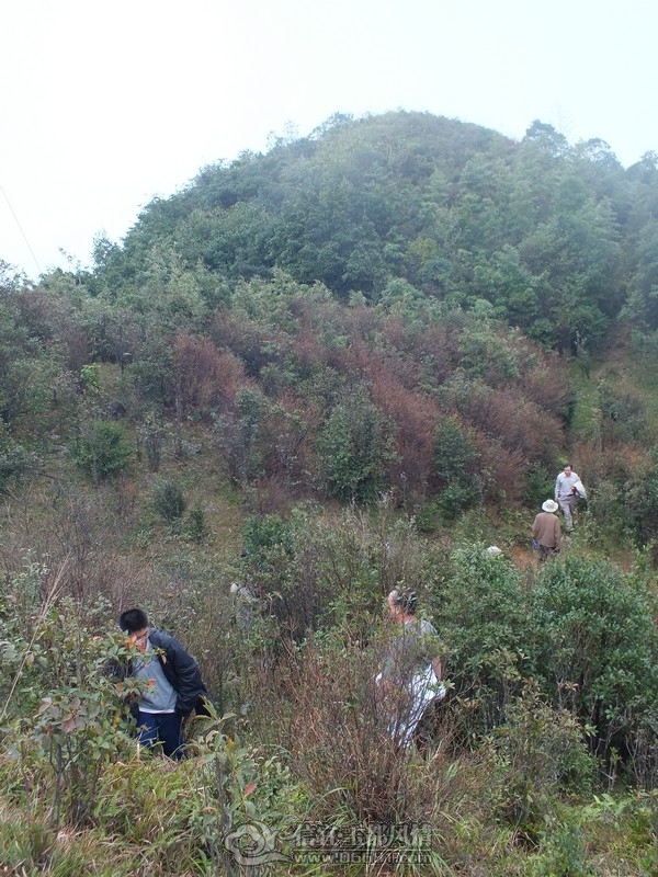 DSCF2921.jpg