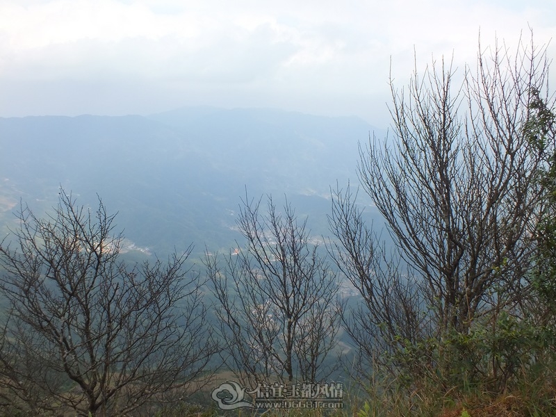 DSCF2929.jpg
