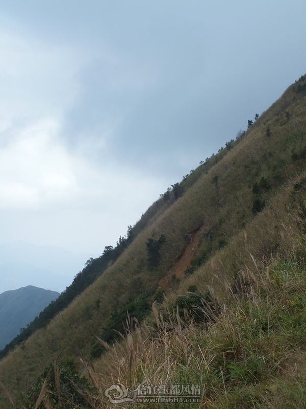 DSCF2935.jpg