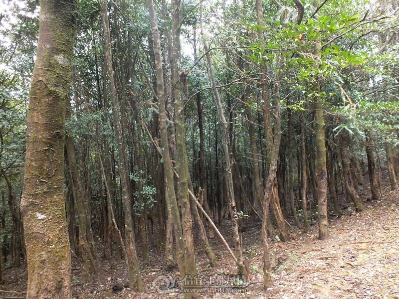 DSCF2960.jpg