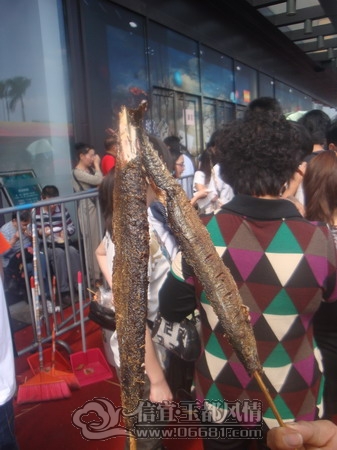 DSC03528_��С��С.JPG