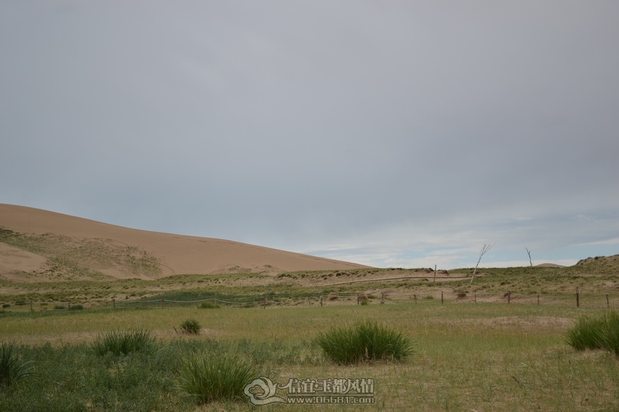 DSC_0304.jpg