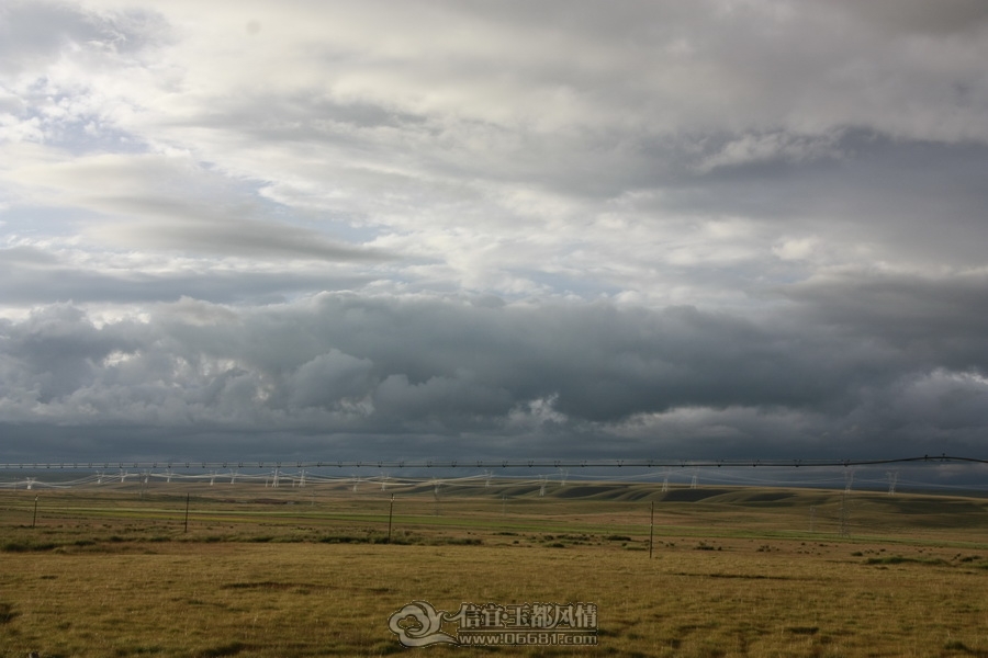 _MG_2060.JPG