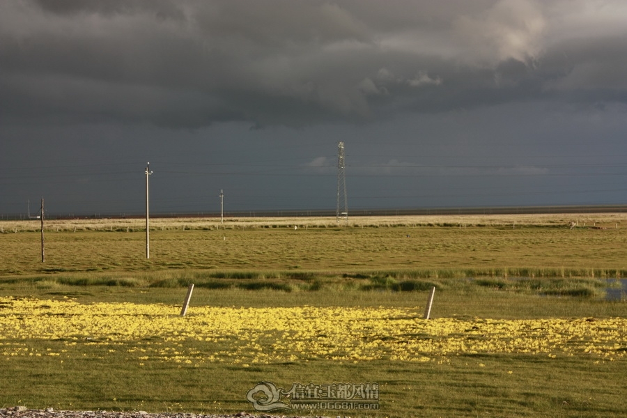 _MG_2071.JPG
