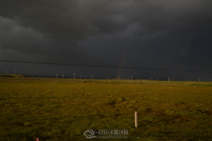 DSC_0333.jpg