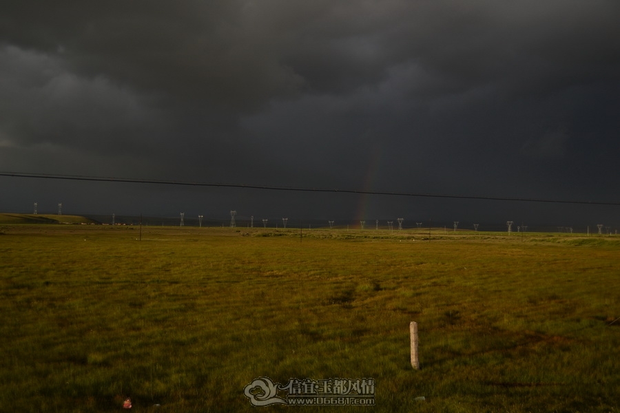 DSC_0334.jpg