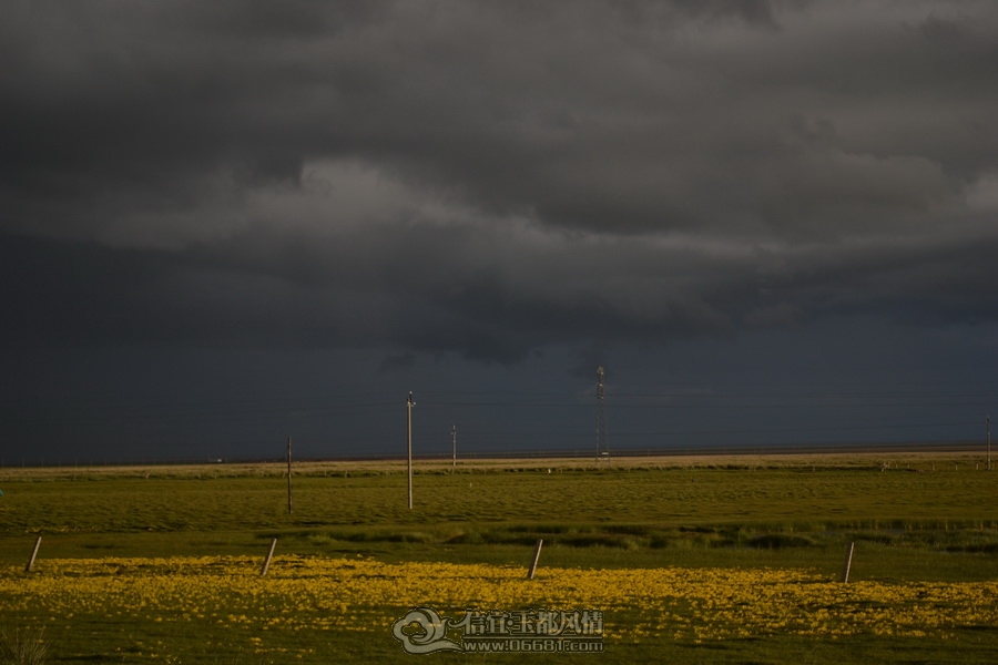 DSC_0322.jpg