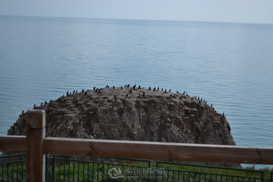 DSC_0423.jpg