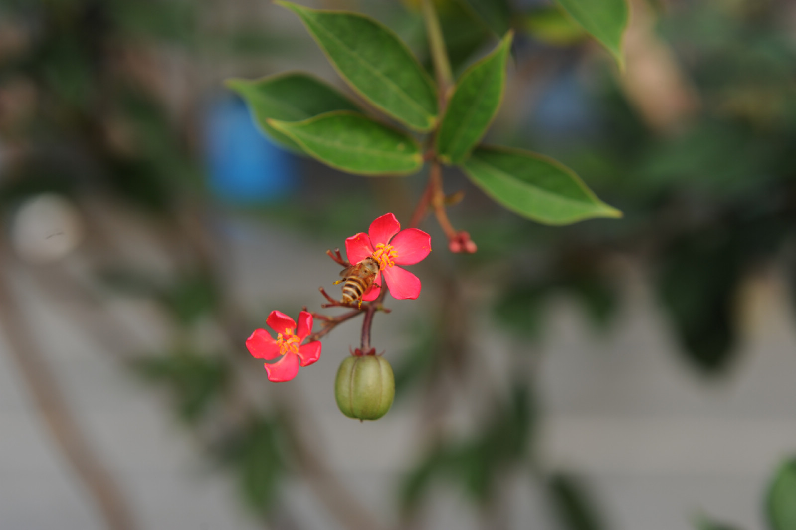 DSC_8711.jpg