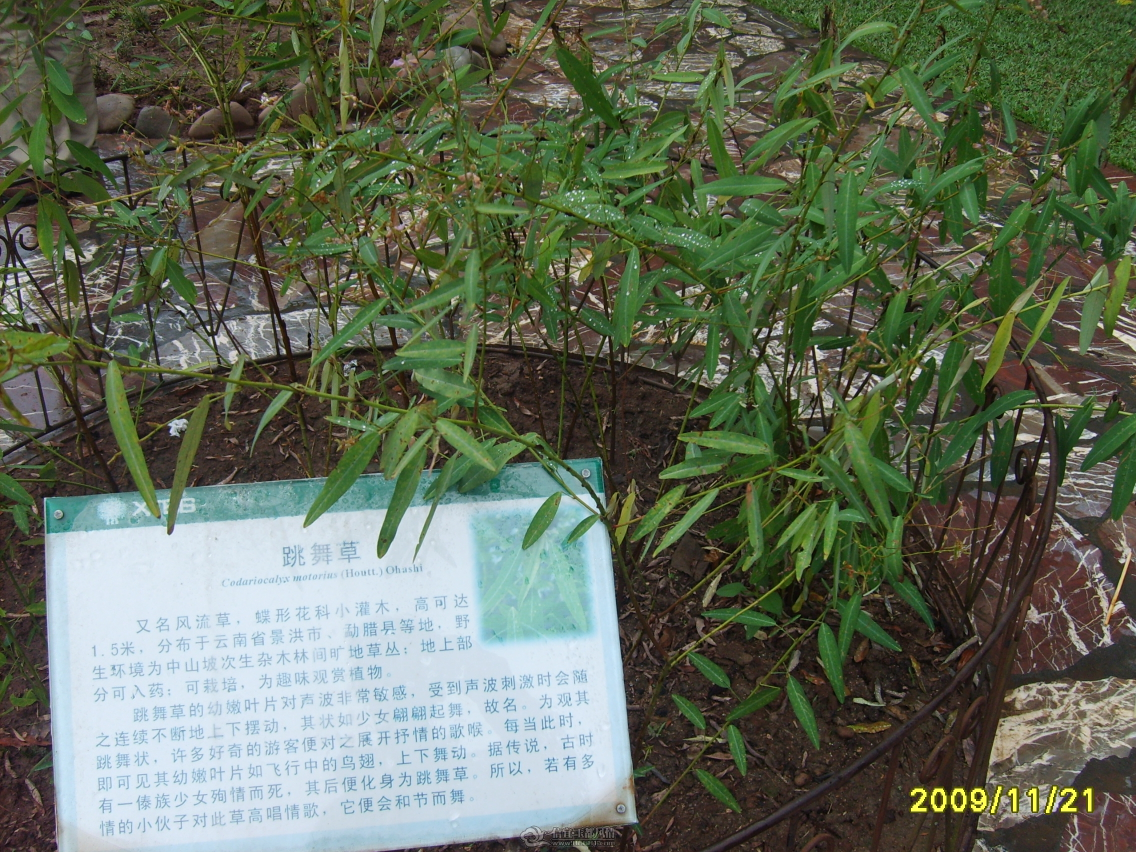 S5000046.JPG