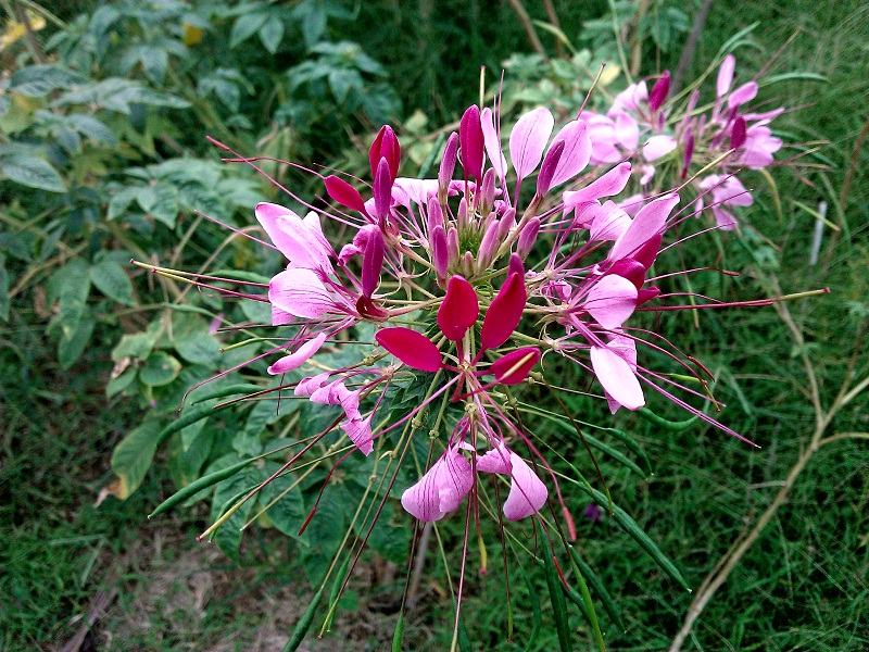 SavedPicture (3)����.jpg
