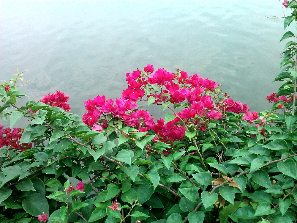 SavedPicture����.jpg