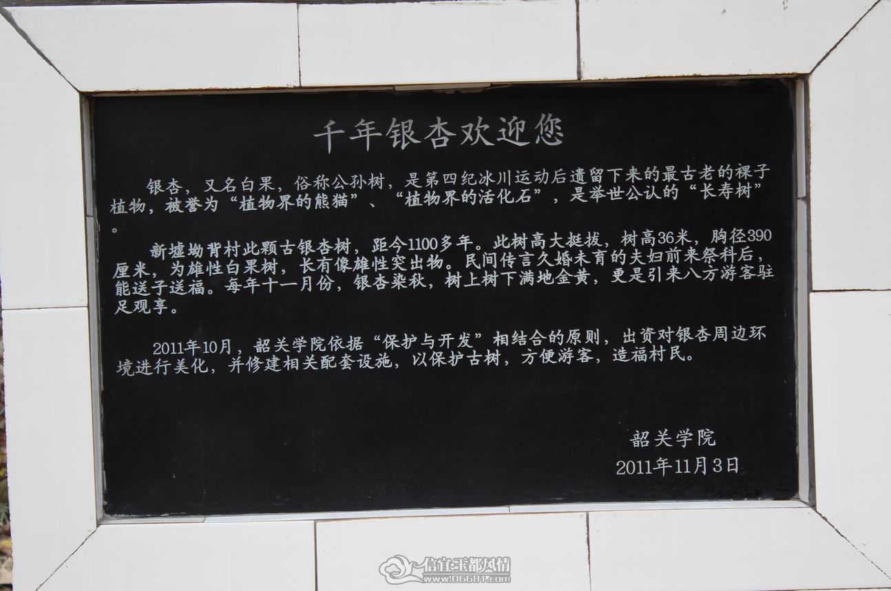 2��ӭ���.JPG