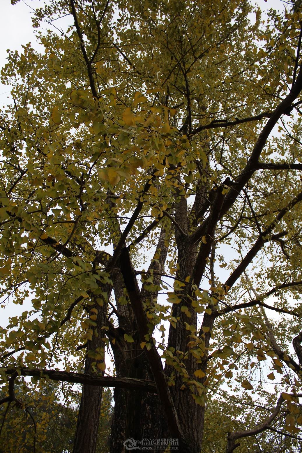 IMG_3997.JPG