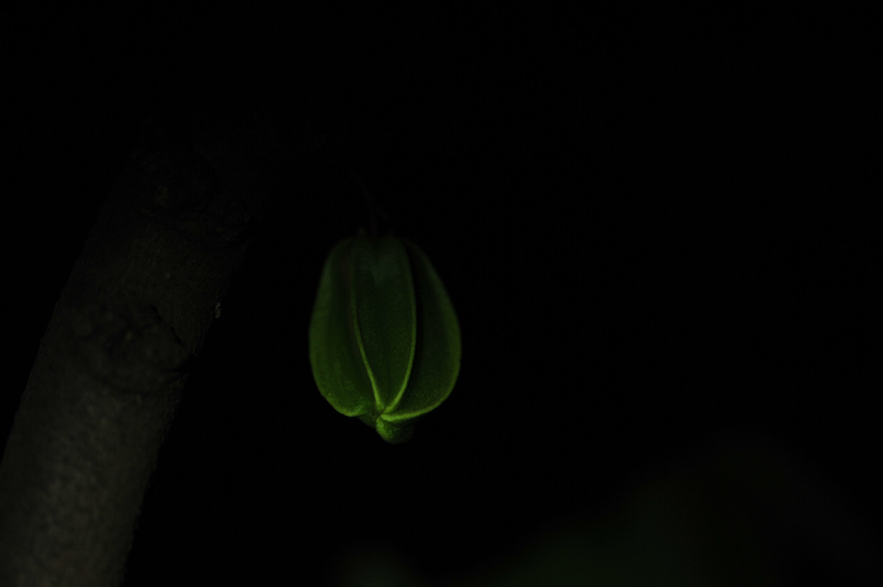 DSC_9394.JPG
