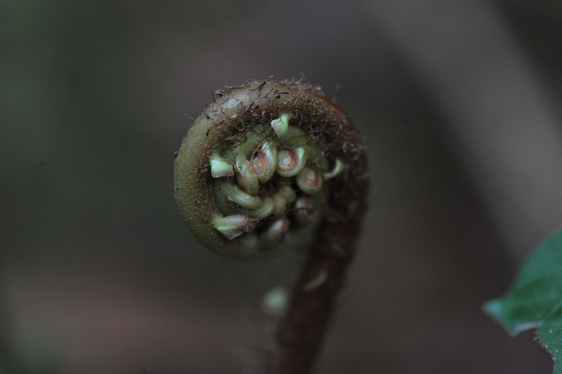 DSC_9422.jpg