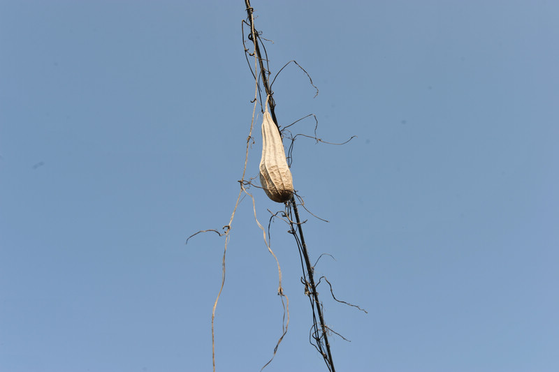 DSC_9448.jpg