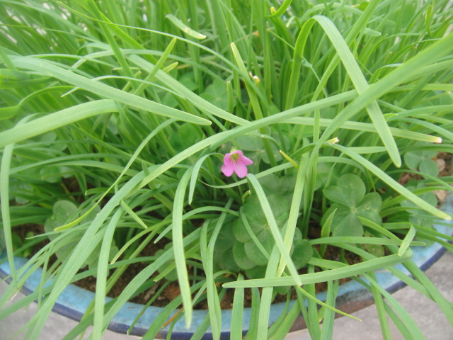 DSC09930.JPG