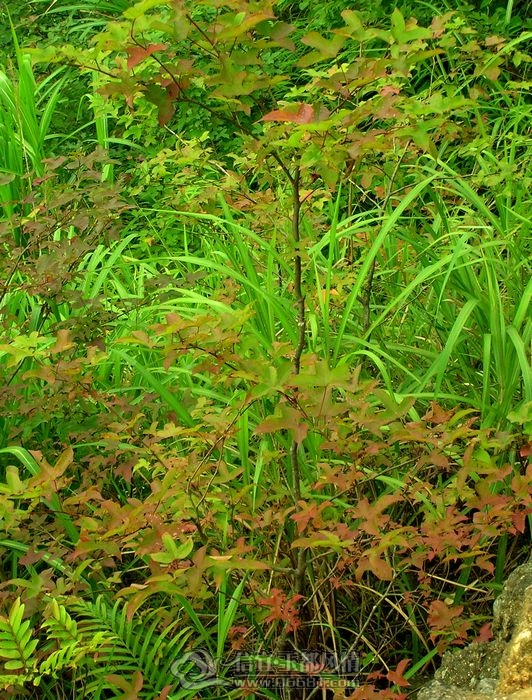 DSCN2835.JPG