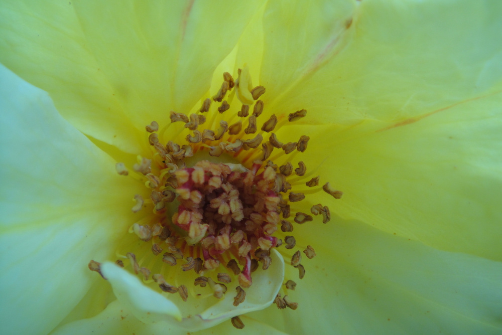 ���¼� (28).jpg