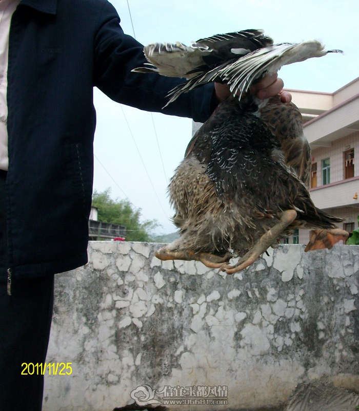 FILE0125.JPG