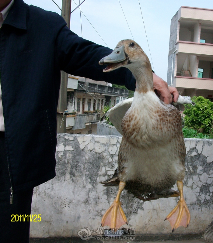 FILE0126 .jpg