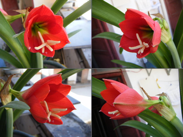 DSCF3049.JPG