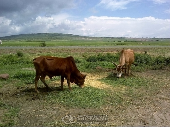 201109251234.jpg