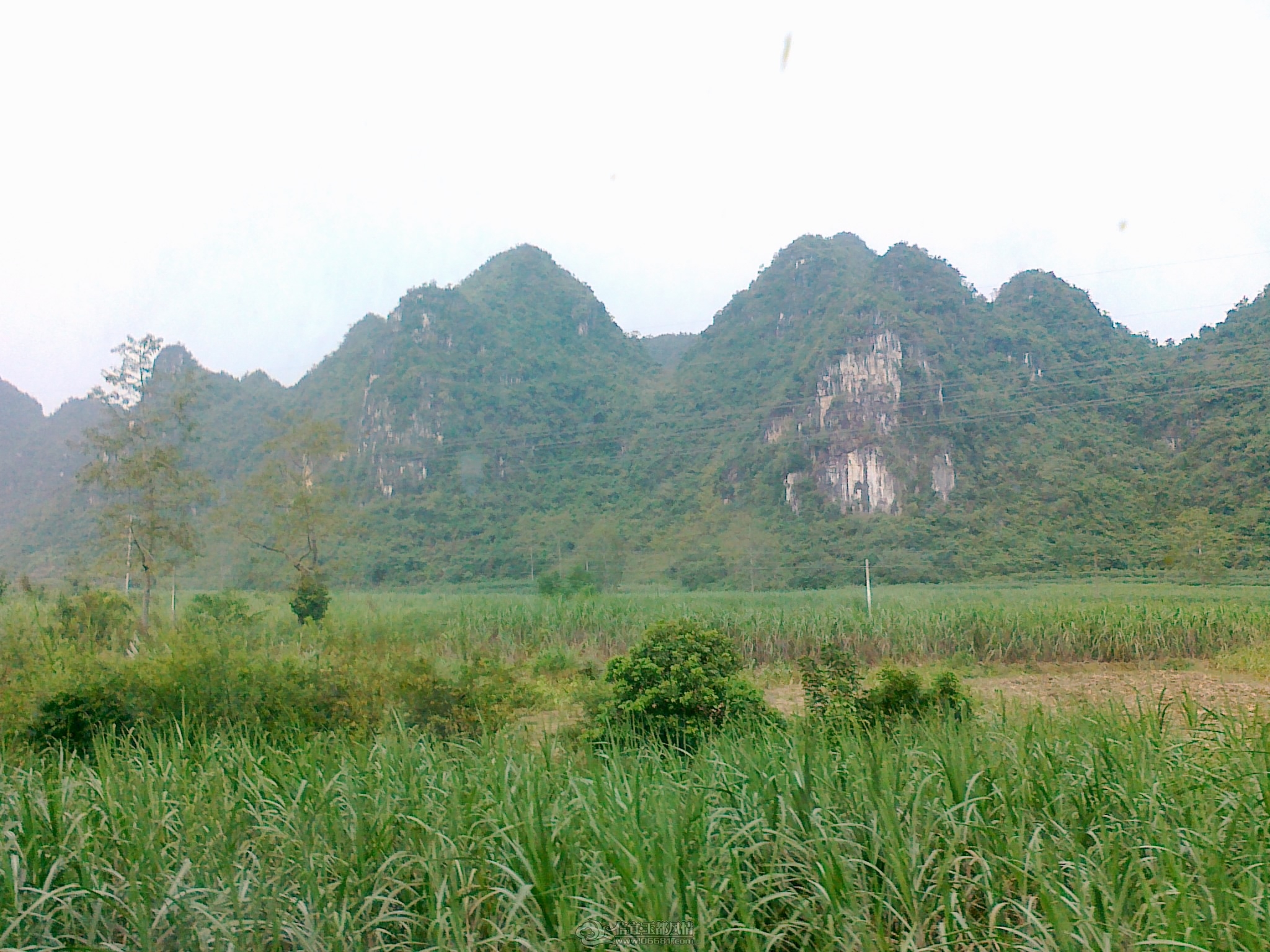 201111061536.jpg