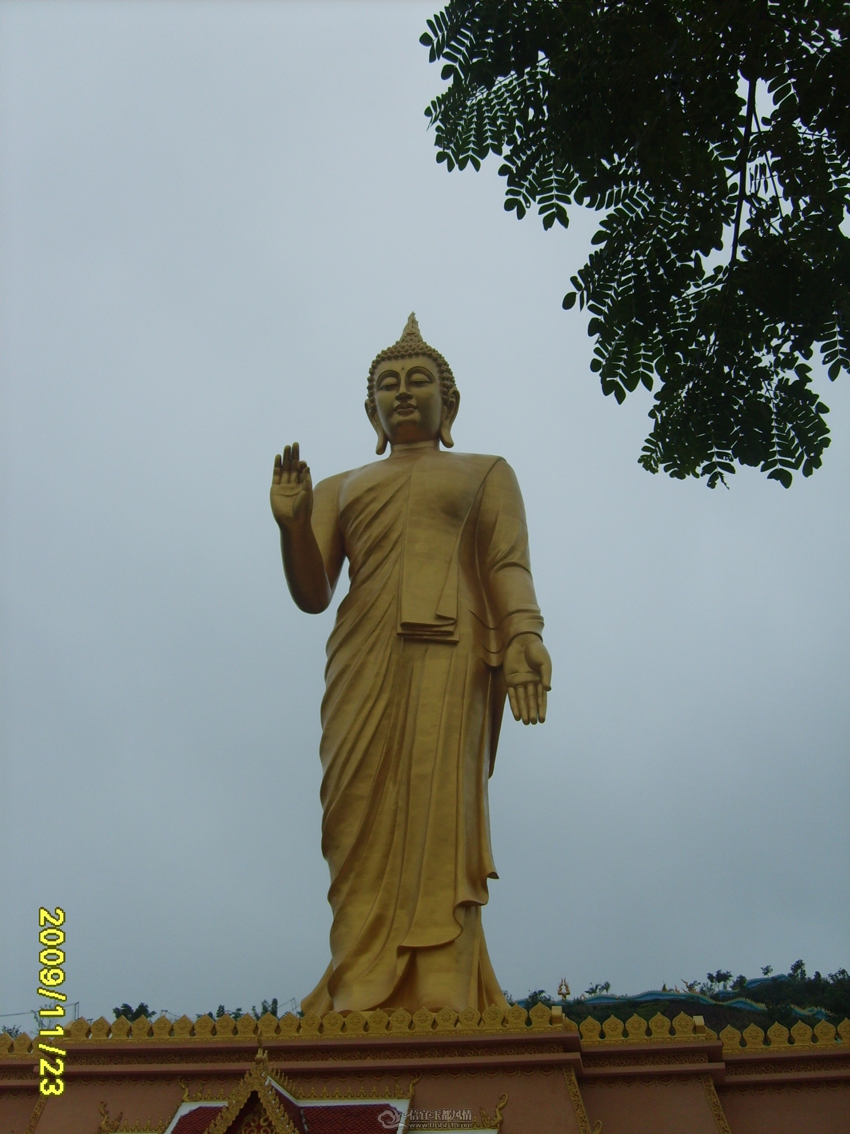 S5000118.JPG
