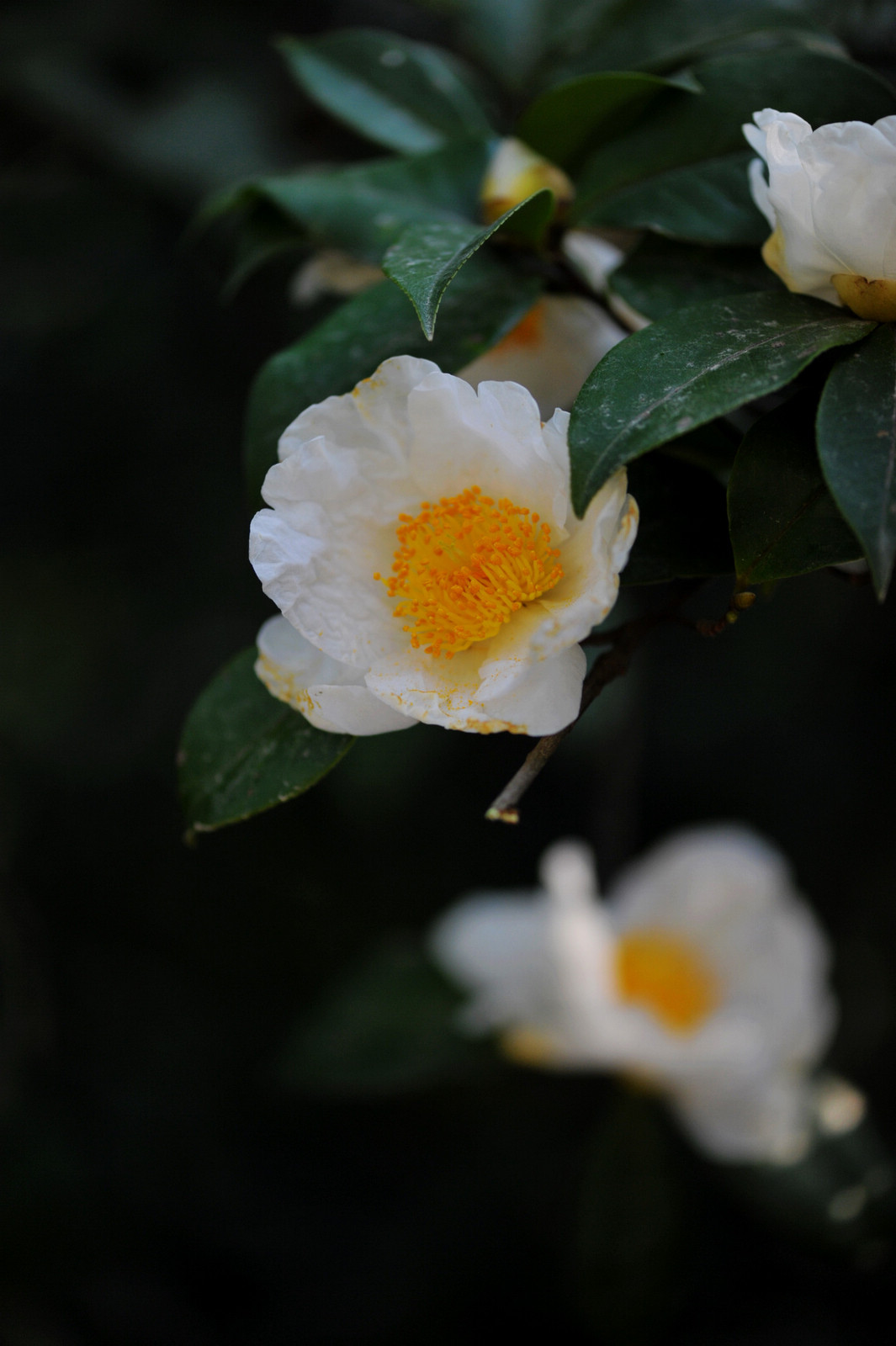 DSC_1902.jpg