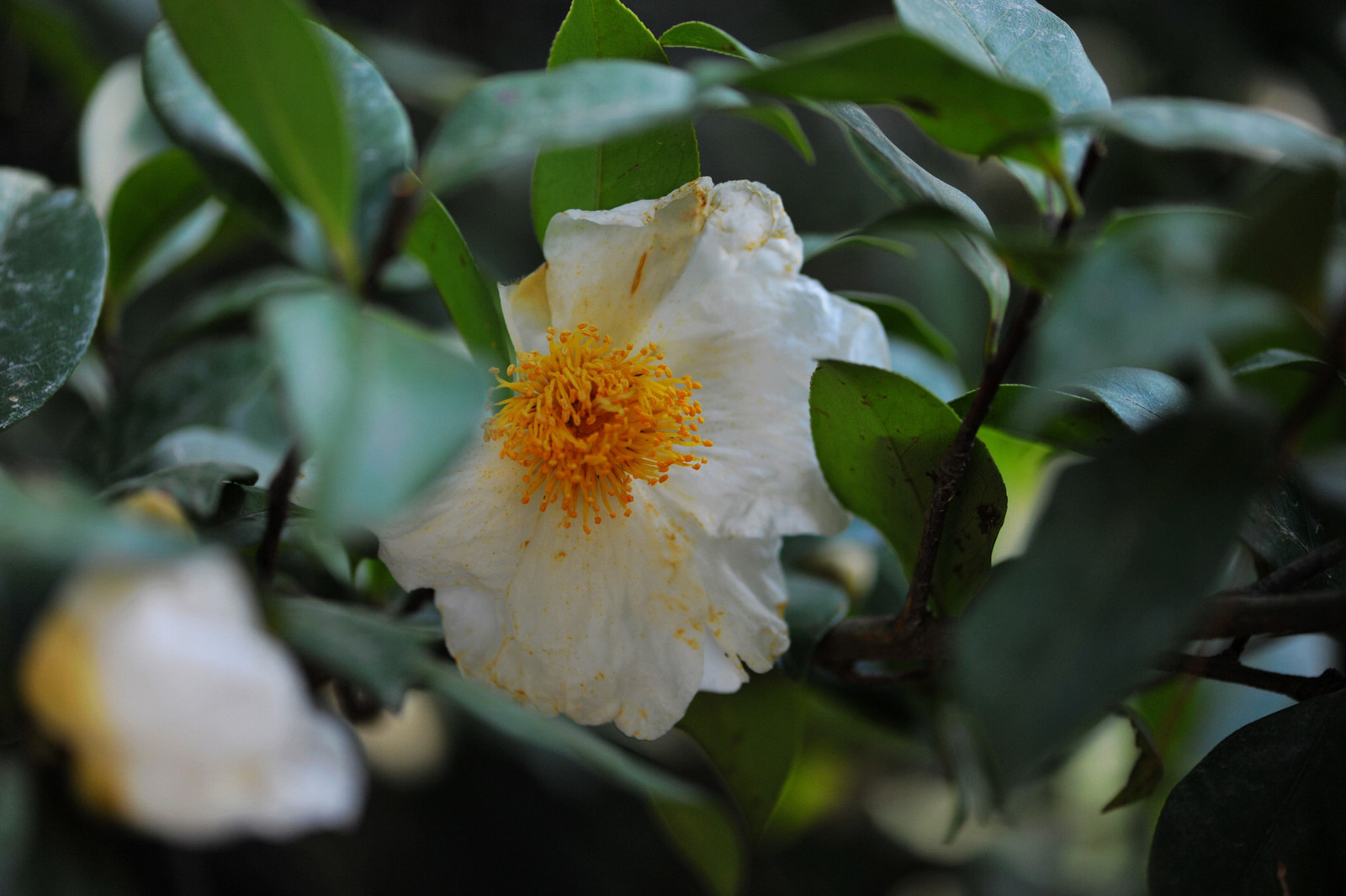DSC_1895.jpg