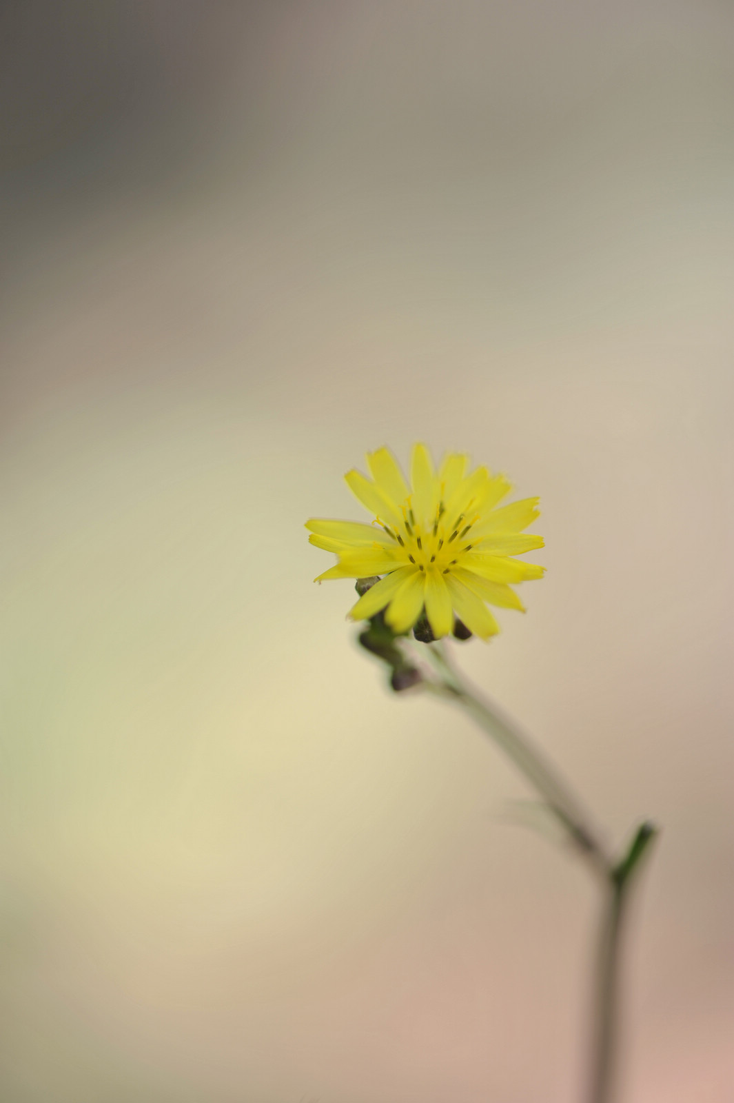 DSC_2046.JPG