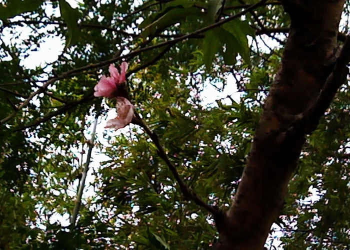 2011-12-06.jpg