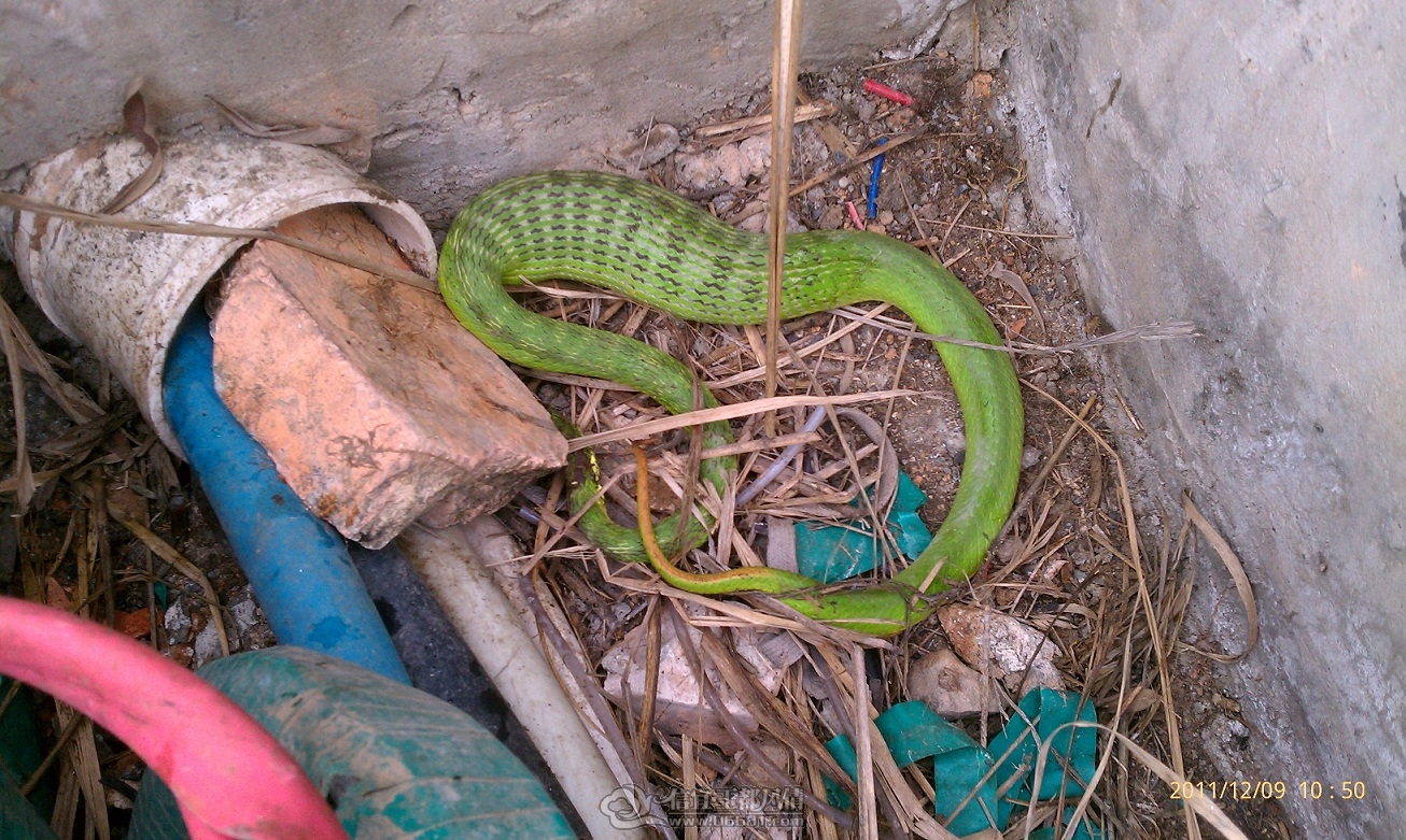 IMAG0178.jpg