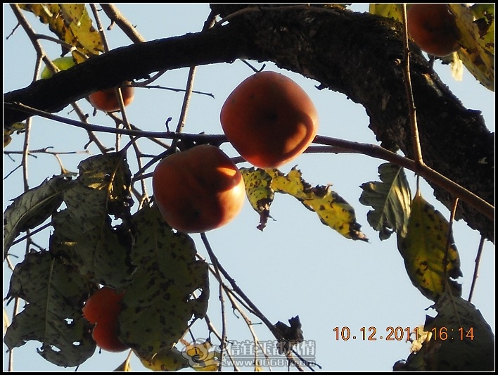 DSCN3017.JPG