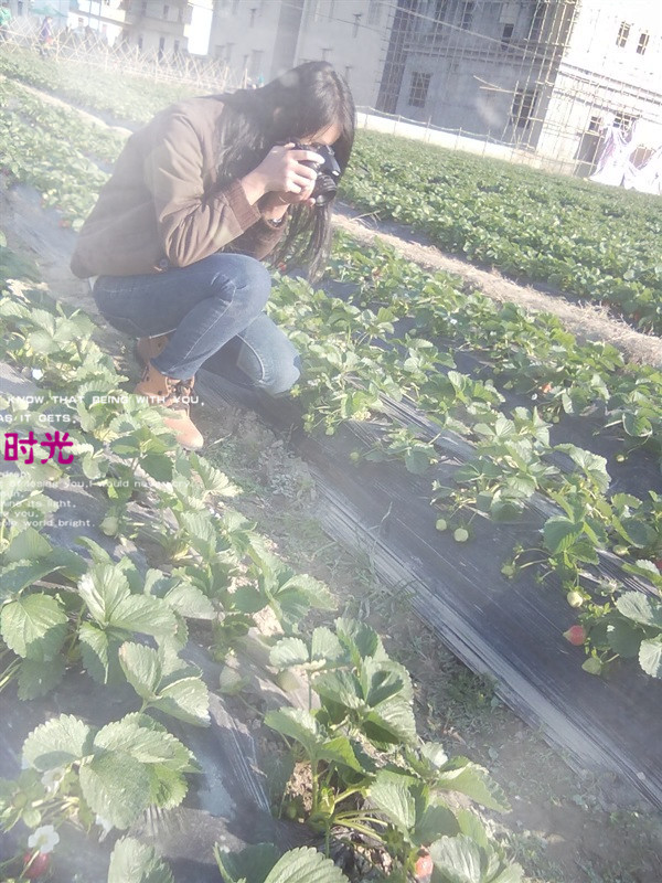 psbv_����.jpg